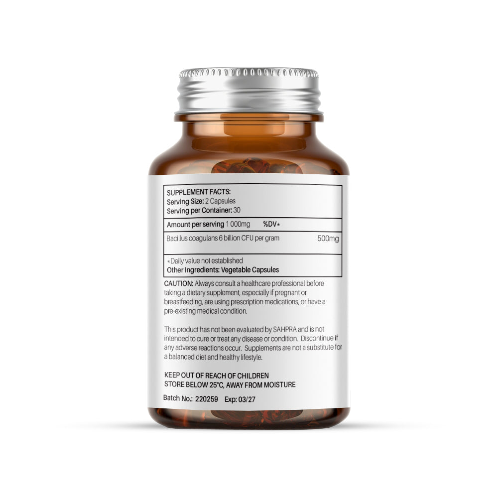 Probiotic – Bacillus Coagulans, 6 billion CFU per Gram, 60 capsules