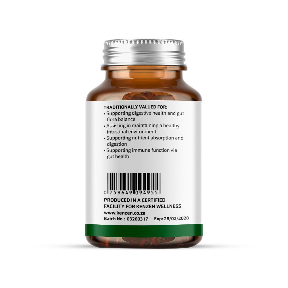 Probiotic – Bacillus Coagulans, 6 billion CFU per Gram, 60 capsules