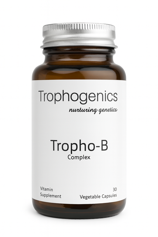 Trophogenics Vitamin B Complex + L-Theanine – Energy, Nerve & Stress Support | 30 Vegetarian Capsules